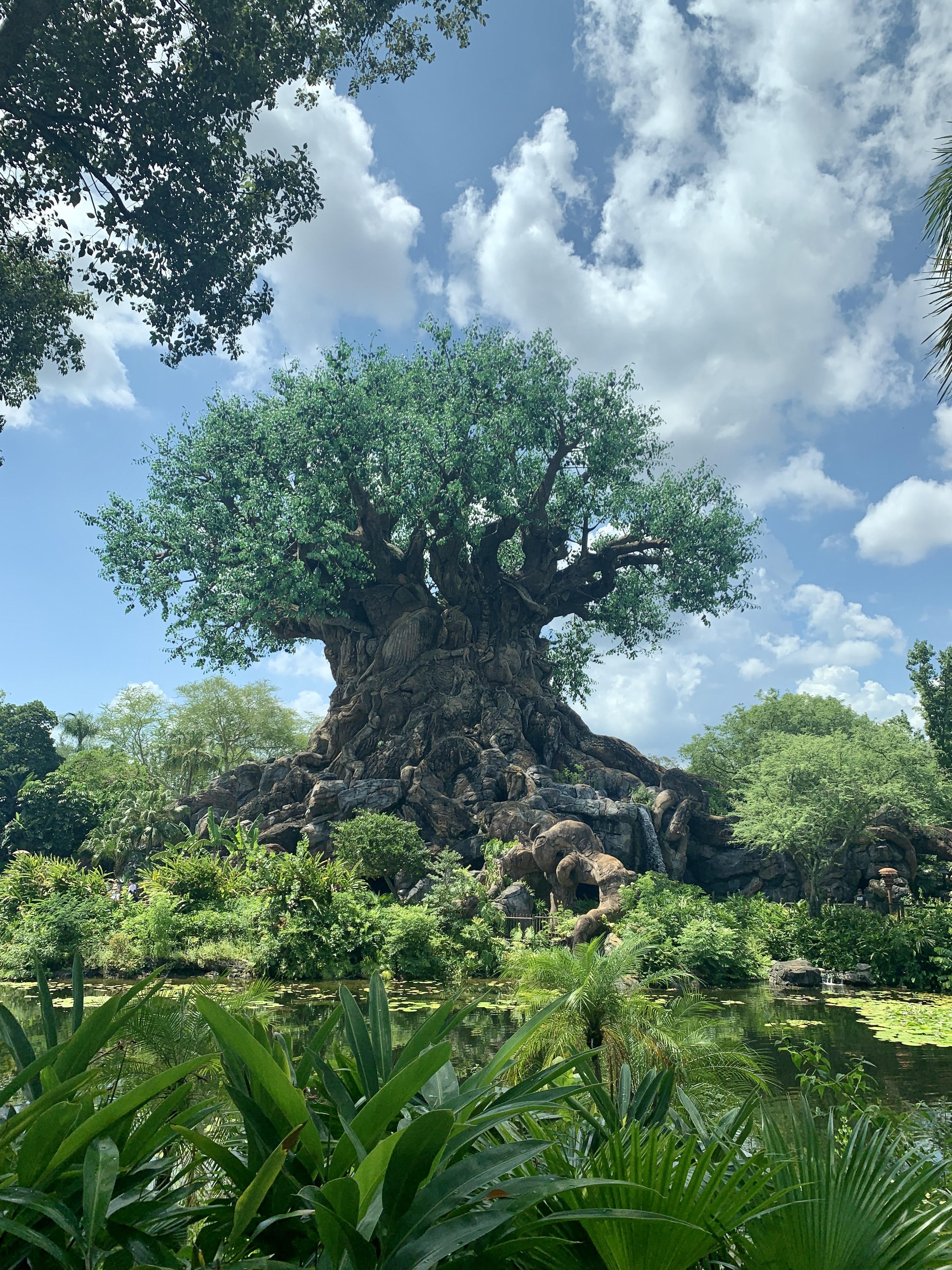 Travel & Animal Kingdom